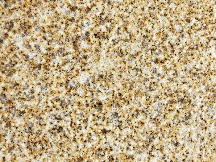 黃金麻大黃荔枝面